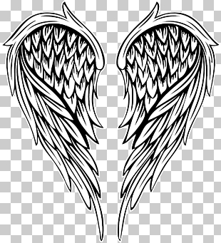 Drawing Illustration, painted feather angel wings, illustration of wings PNG clipart
