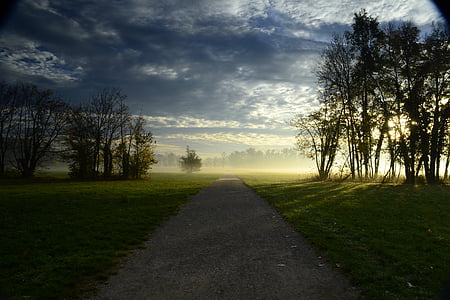 photo of pathway between trees during daytime thumbnail