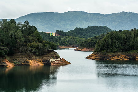body of water near trees during daytime thumbnail