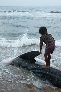 boy standing on whale at seashore thumbnail
