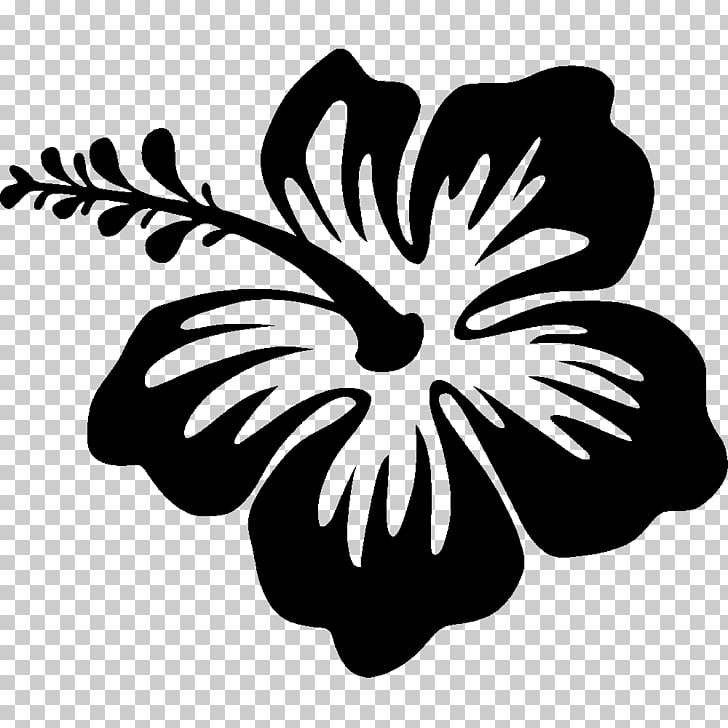 Silhouette Drawing Hibiscus Hawaii Flower Black Hibiscus Flower