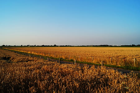 food, road, landscape, nature thumbnail