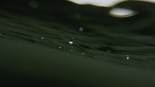 underwater photography thumbnail
