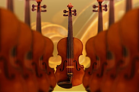 brown wooden violin thumbnail
