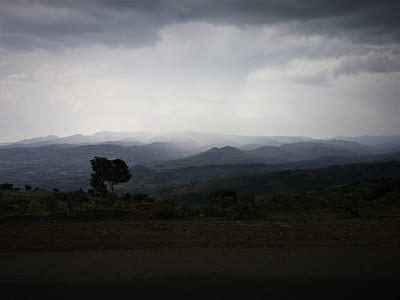 green tree overlooking hills thumbnail