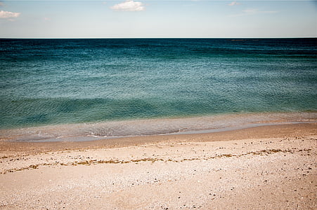 seashore during daytime thumbnail