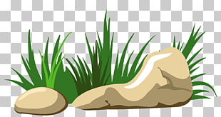 Rock , Grass and Stones Transparent , brown stone near green leafed plant PNG clipart
