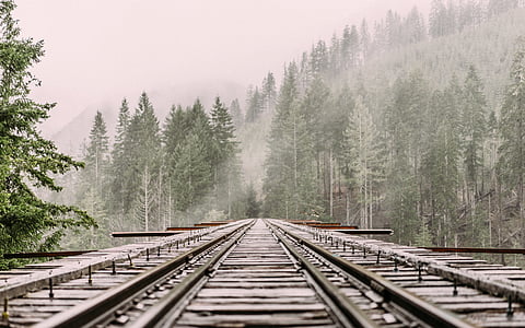 black metal train trail in the middle of green trees thumbnail