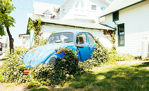 wrecked red Volkswagen Beetle surrounded with vines during daytime thumbnail
