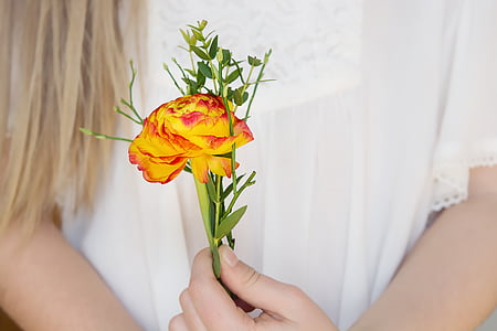 person holding red and yellow petaled flower thumbnail