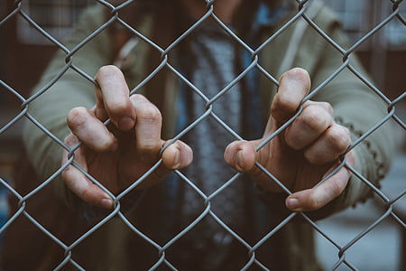person holding gray link fence thumbnail