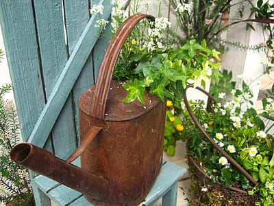 brown water can with green leafed plant inside thumbnail