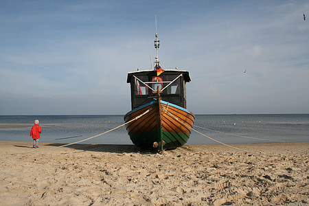 brown and green boat on seashore thumbnail