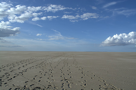 Norderoogsand, Sandbar thumbnail