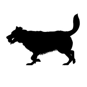 Illustration of dog silhouette with a ball. thumbnail
