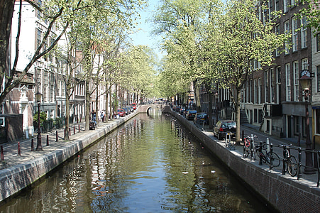 river beside buildings and trees at daytime thumbnail