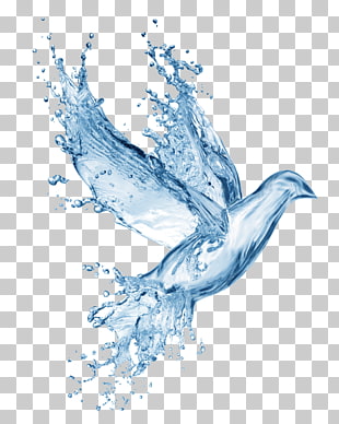 Bible God Disciple Prayer Gospel, Water effects, bird-shaped water PNG clipart