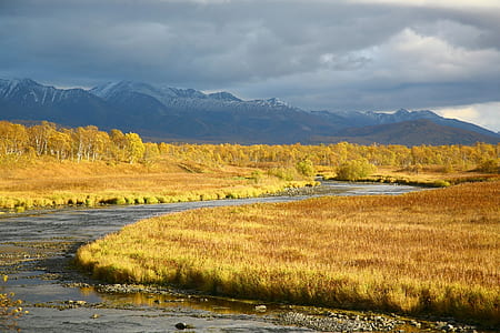field of grass beside body of water thumbnail