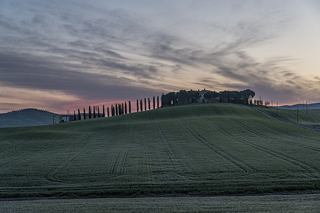 landscape photography of fields thumbnail