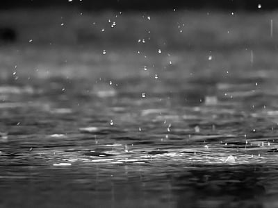 grayscale photo of raindrops thumbnail