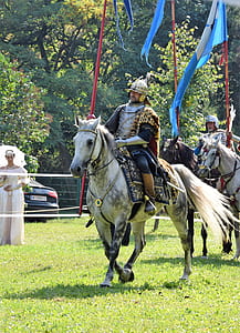 man riding white horse thumbnail
