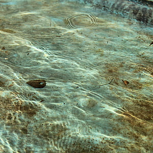 body of water and white sand thumbnail