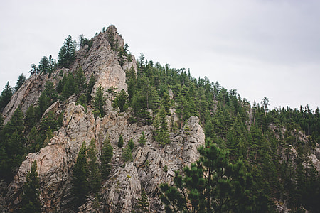rock mountain with green trees under grey sky thumbnail