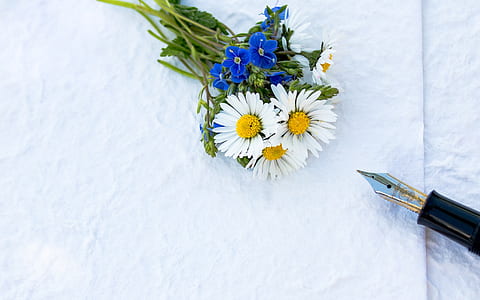 flowers, bouquet, bloom, blossom thumbnail