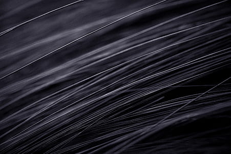 hair, pattern, white, black thumbnail