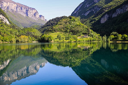 body of water surrounded of trees thumbnail
