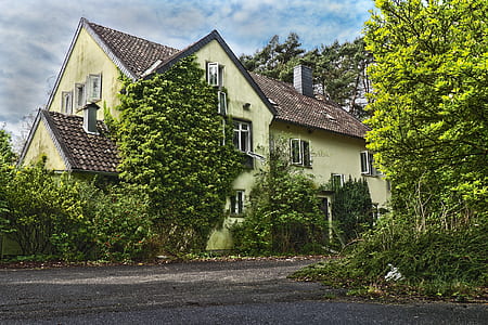 yellow and brown house beside green trees thumbnail