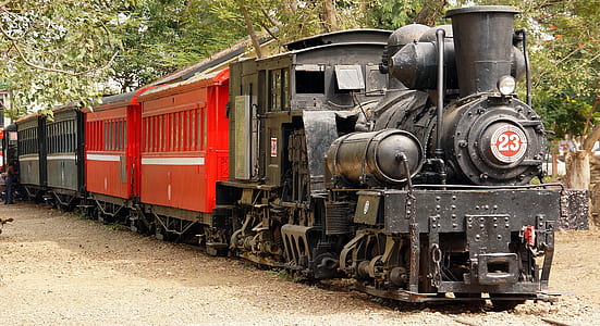 black and red train passing near green trees thumbnail
