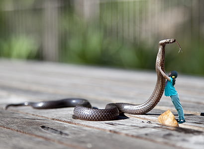 edited photo of woman holding brown snake thumbnail