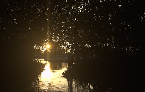 silhouette of body of water near trees at sunset thumbnail
