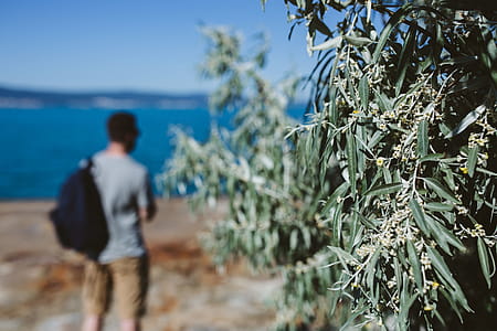 Man looking out to sea thumbnail