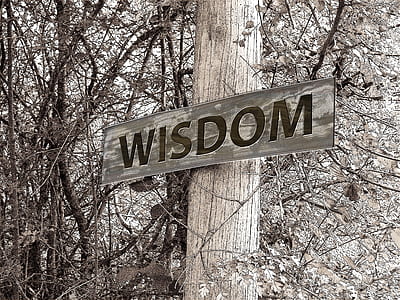 Wisdom signage on wooden post thumbnail