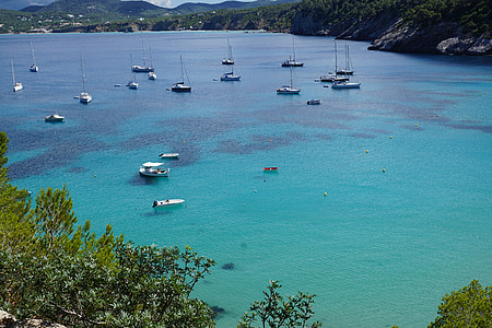 sailboats docked on lake thumbnail