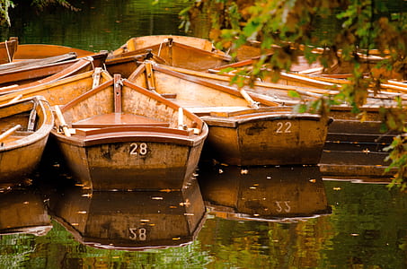 pile of brown wooden boats on body of water thumbnail