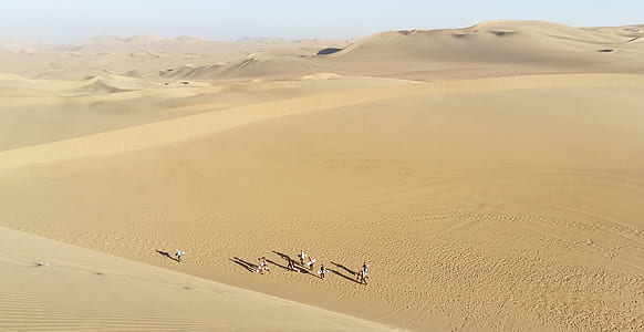 aerial photograph of people walking on desert thumbnail