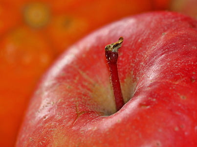 red Apple fruit thumbnail