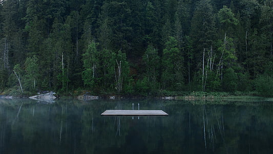 calm water of lake near green tree forest during daytime thumbnail