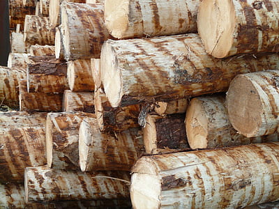 pile of logs thumbnail