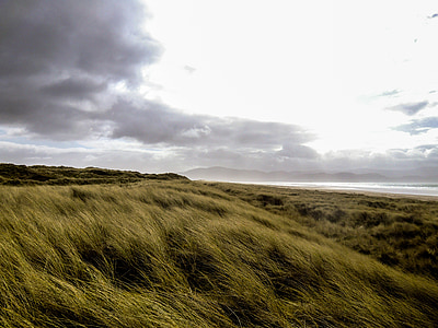 green grass field thumbnail