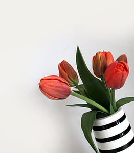 red tulips on white and black ceramic vase thumbnail