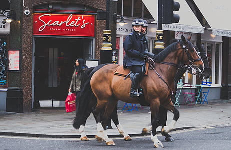 two men riding horses in front of Scarlet's building thumbnail