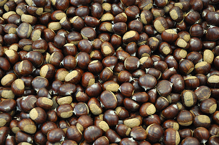 Marroni, Chestnut thumbnail