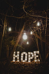 white hope marque light beside trees thumbnail