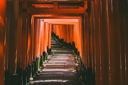 brown wooden pathway under red posts thumbnail