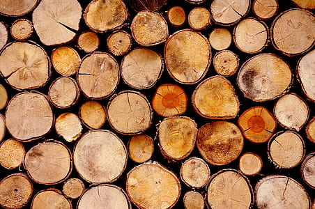 pile of cut log thumbnail