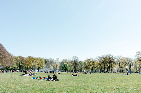 Warm day in the park thumbnail